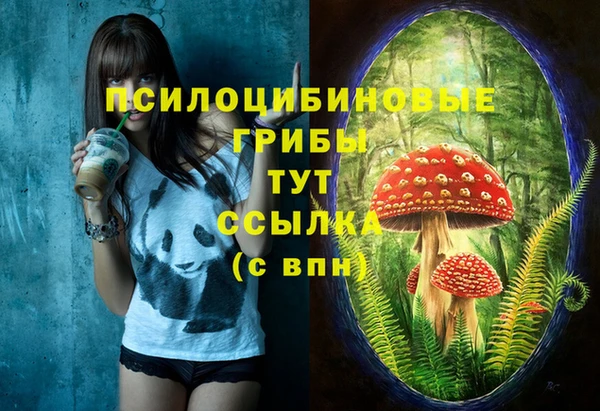 хмурый Абдулино